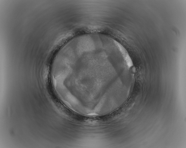 X0000113340742200910131218