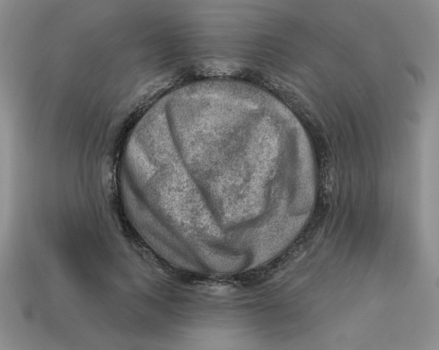 X0000113340743200910131218