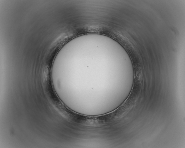 X0000113340744200910131218