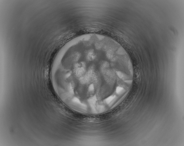 X0000113340745200910131218