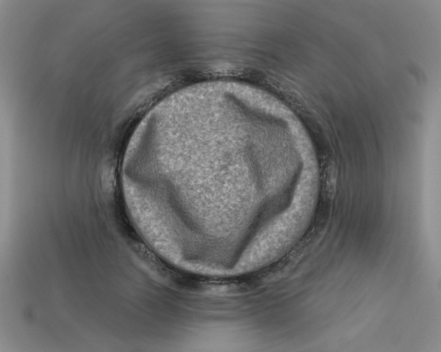 X0000113340746200910131218
