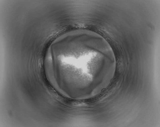 X0000113340747200910131218