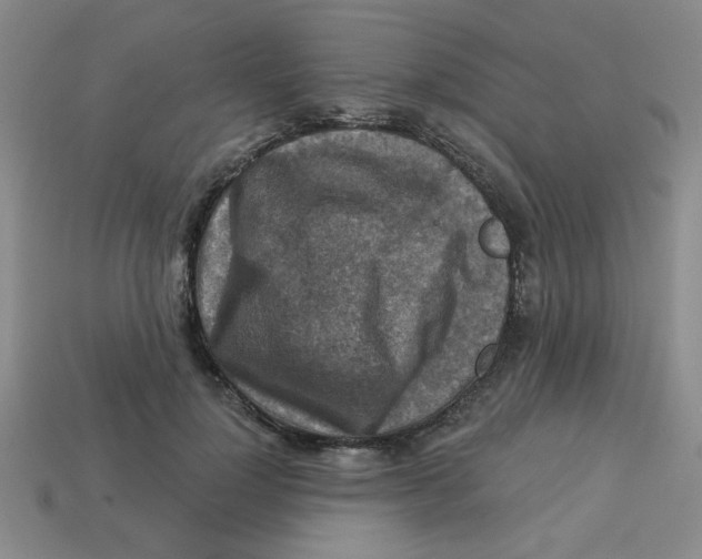 X0000113340748200910131218