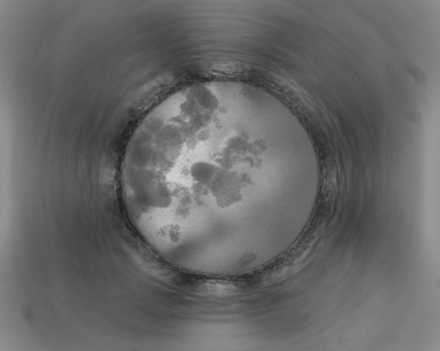 X0000113340749200910131218
