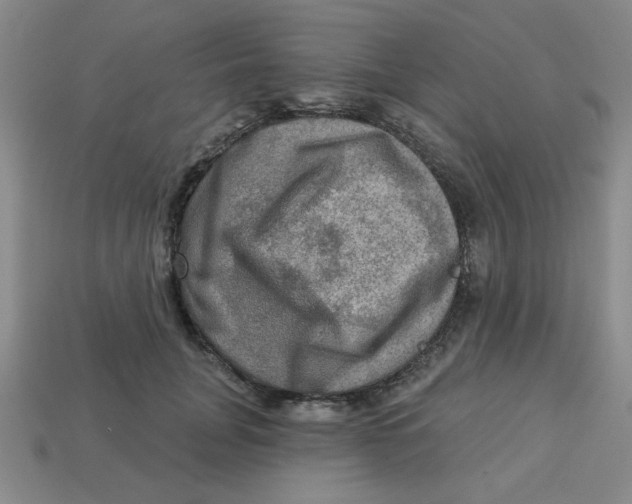 X0000113340751200910131218