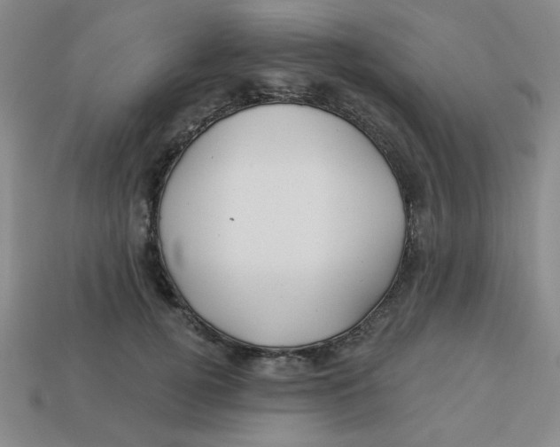 X0000113340752200910131218