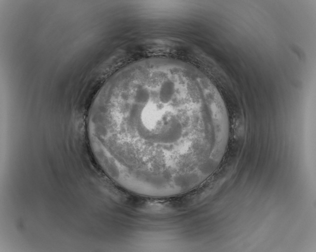 X0000113340753200910131218