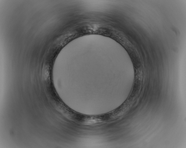 X0000113340754200910131218