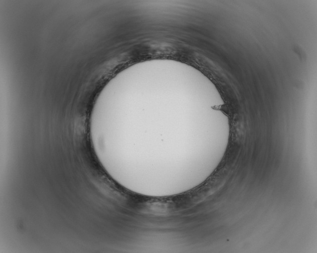X0000113340756200910131218