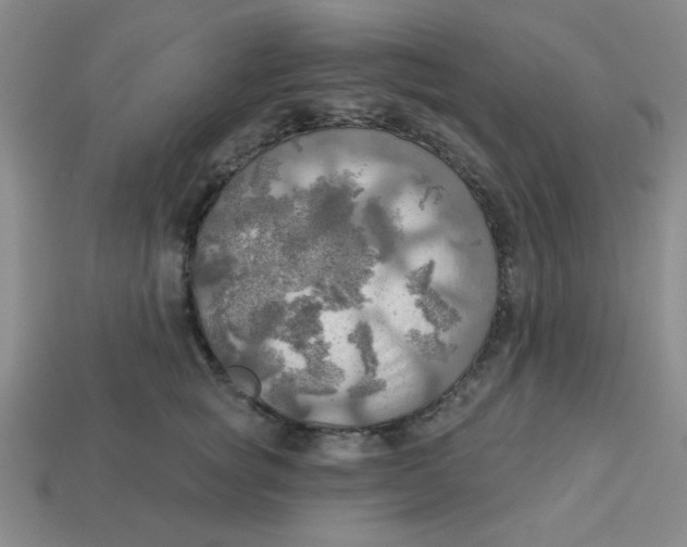 X0000113340757200910131218