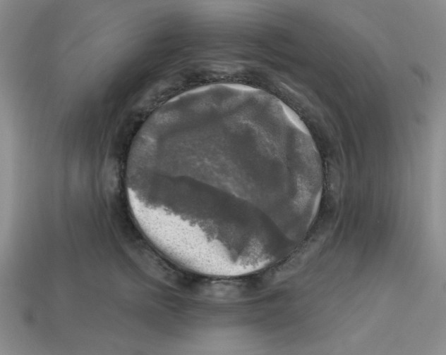 X0000113340758200910131218