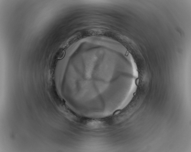 X0000113340759200910131218