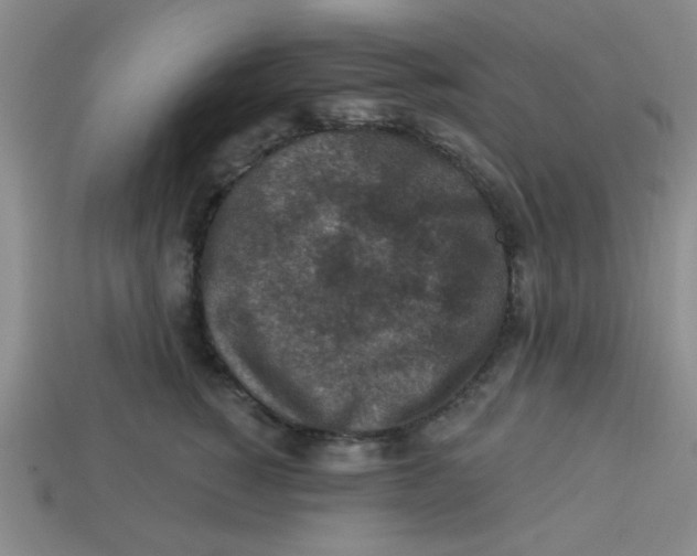 X0000113340760200910131218