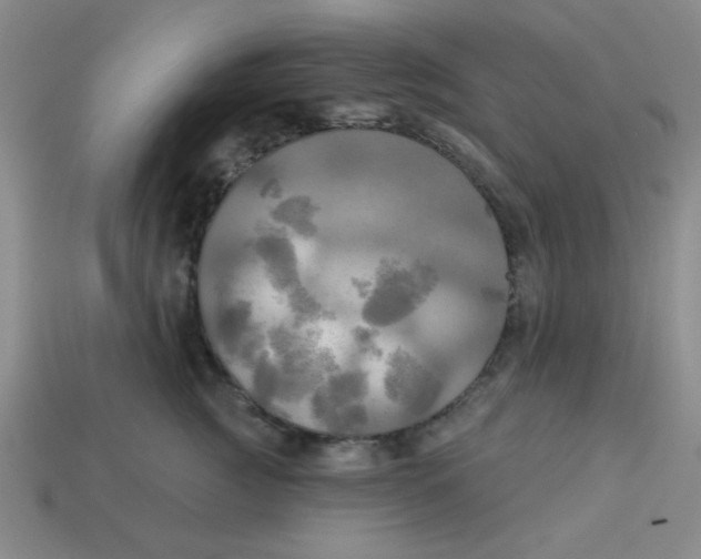 X0000113340761200910131218