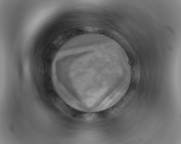 X0000113340762200910131218