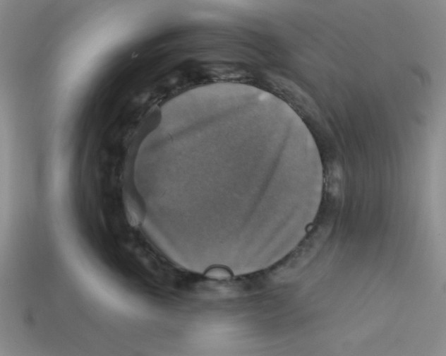 X0000113340763200910131218