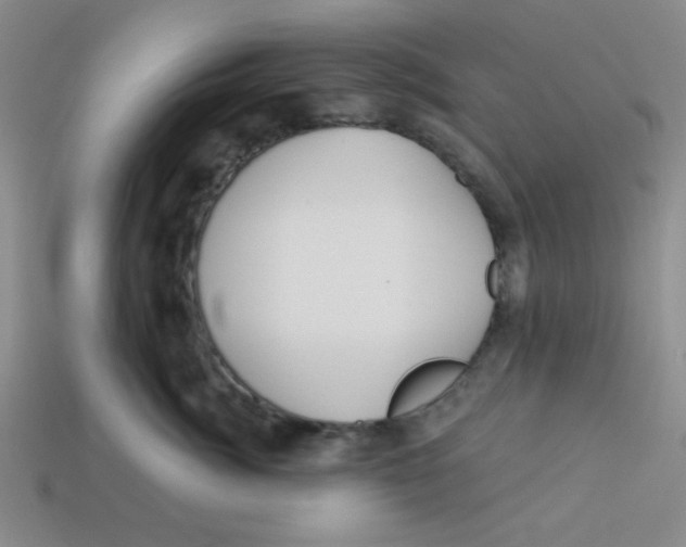 X0000113340764200910131218