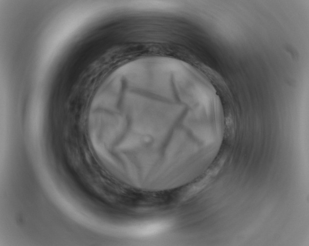 X0000113340765200910131218