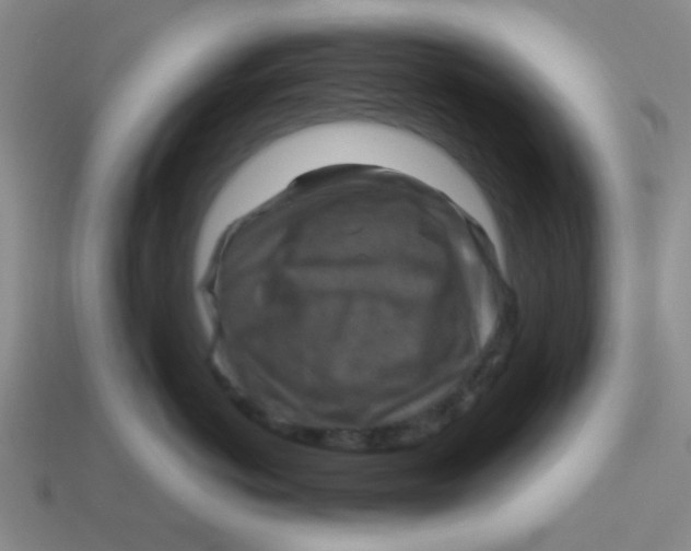 X0000113340766200910131218