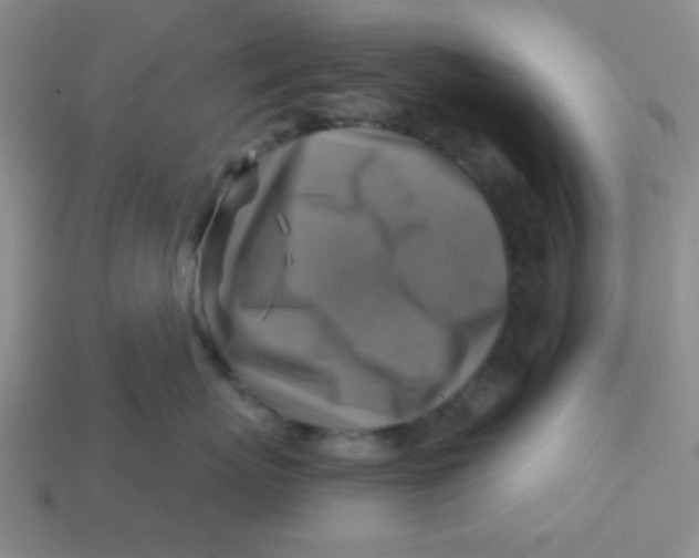 X0000113340767200910131218