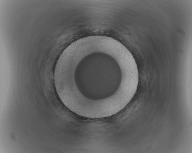 X0000113340769200910131218