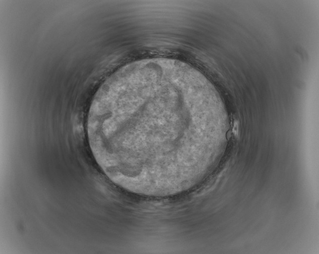 X0000113340771200910131218