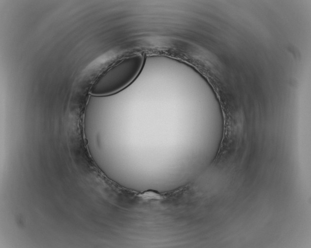 X0000113340773200910131218