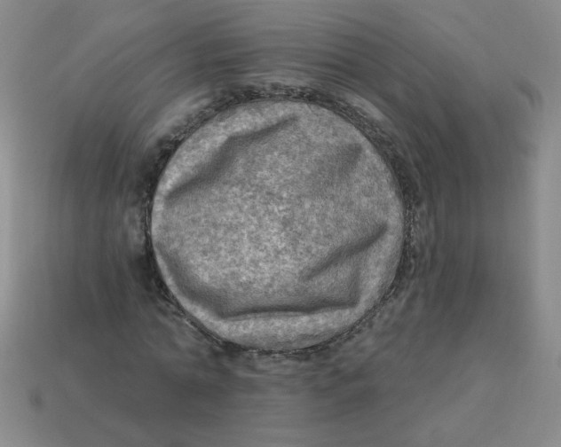 X0000113340774200910131218