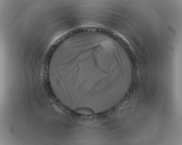 X0000113340775200910131218