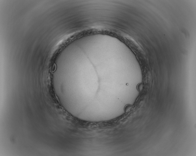 X0000113340776200910131218