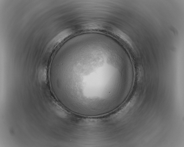 X0000113340777200910131218