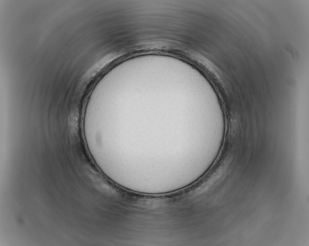 X0000113340778200910131218
