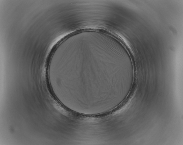 X0000113340779200910131218