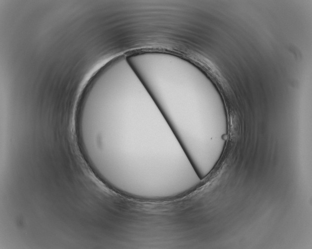 X0000113340780200910131218