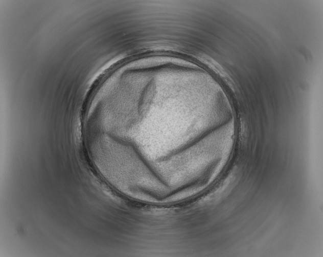 X0000113340782200910131218