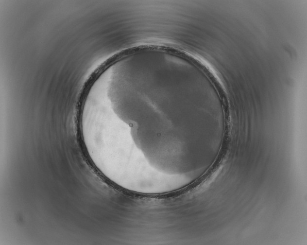 X0000113340783200910131218