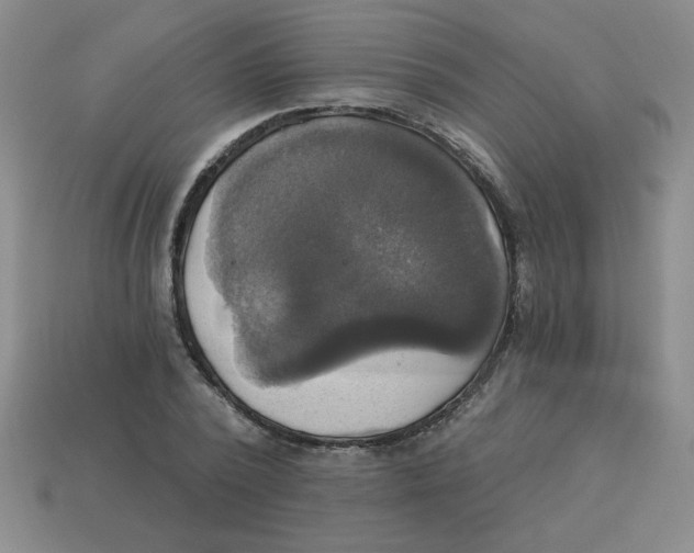 X0000113340784200910131218