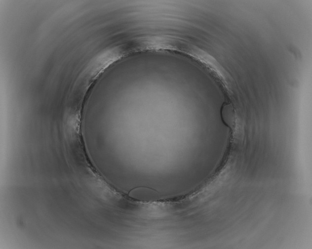 X0000113340785200910131218