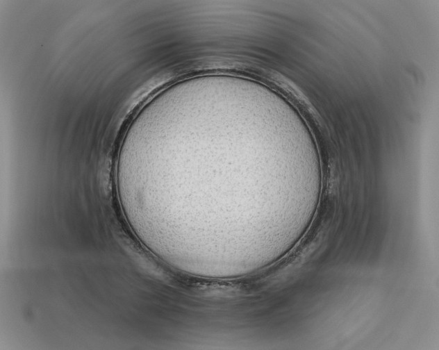 X0000113340786200910131218