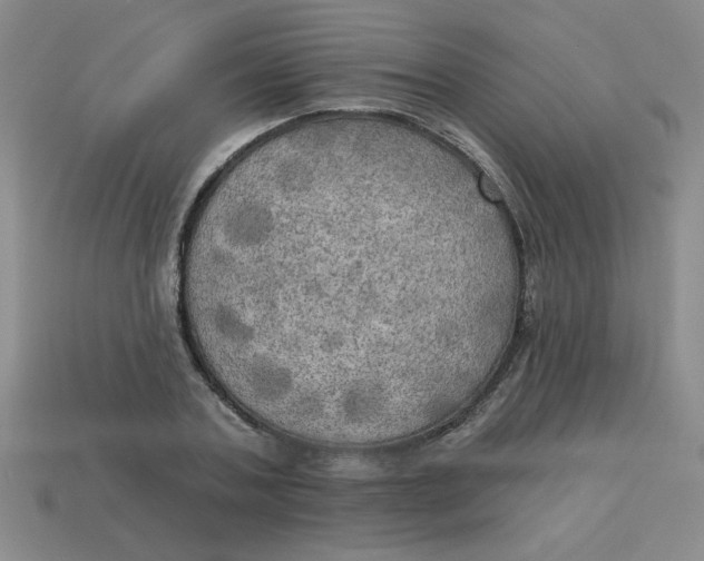 X0000113340787200910131218