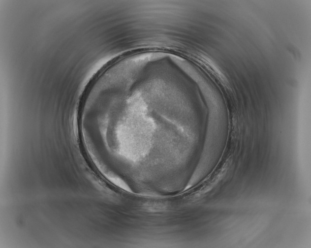 X0000113340788200910131218