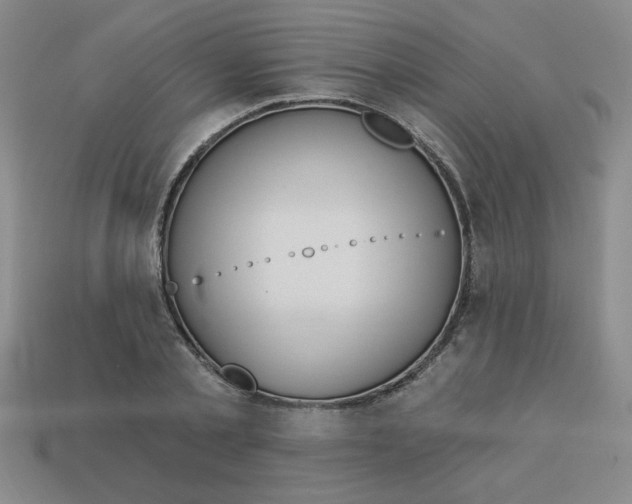X0000113340789200910131218