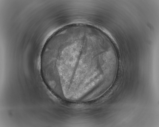 X0000113340791200910131217