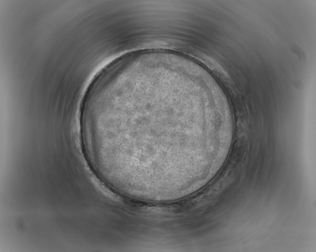 X0000113340792200910131217