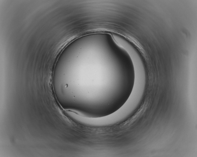 X0000113340793200910131217