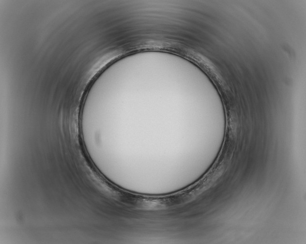 X0000113340794200910131217