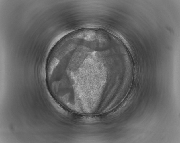 X0000113340795200910131217