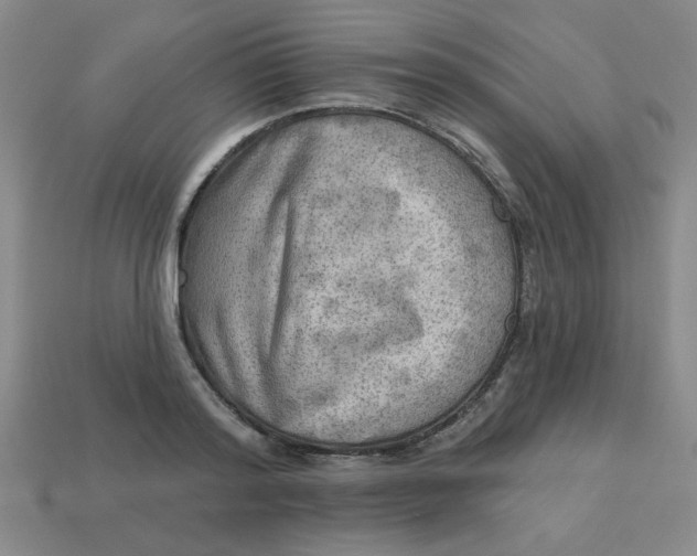 X0000113340796200910131217