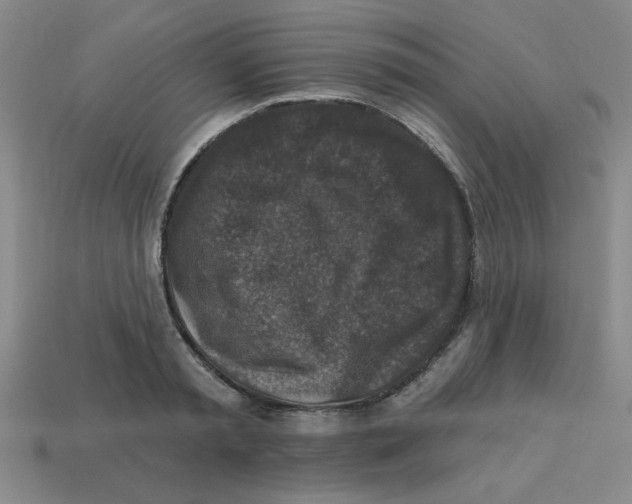 X0000113340797200910131217