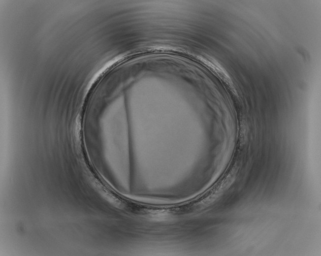 X0000113340798200910131217